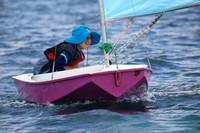 2026 Minnow Novis